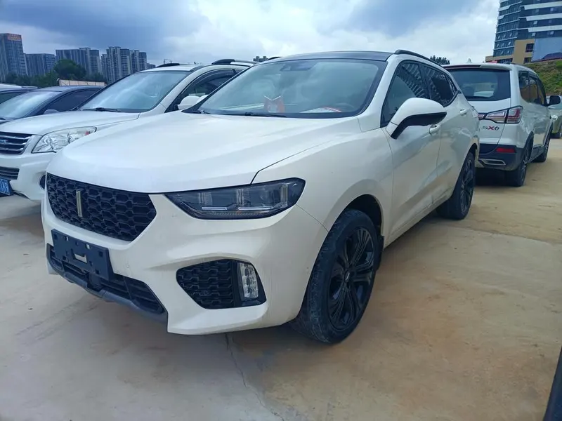 Wey VV5, 2017