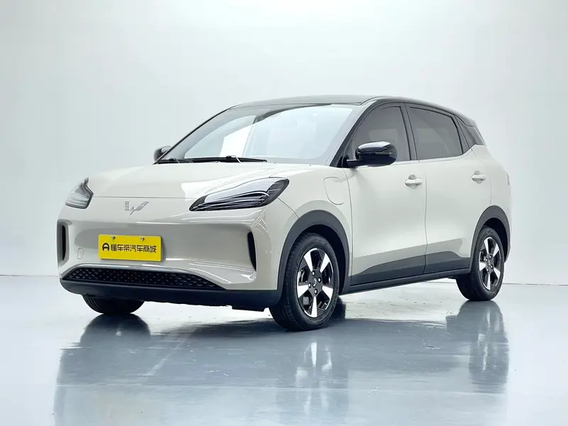 Wuling Bingo PLUS, 2024