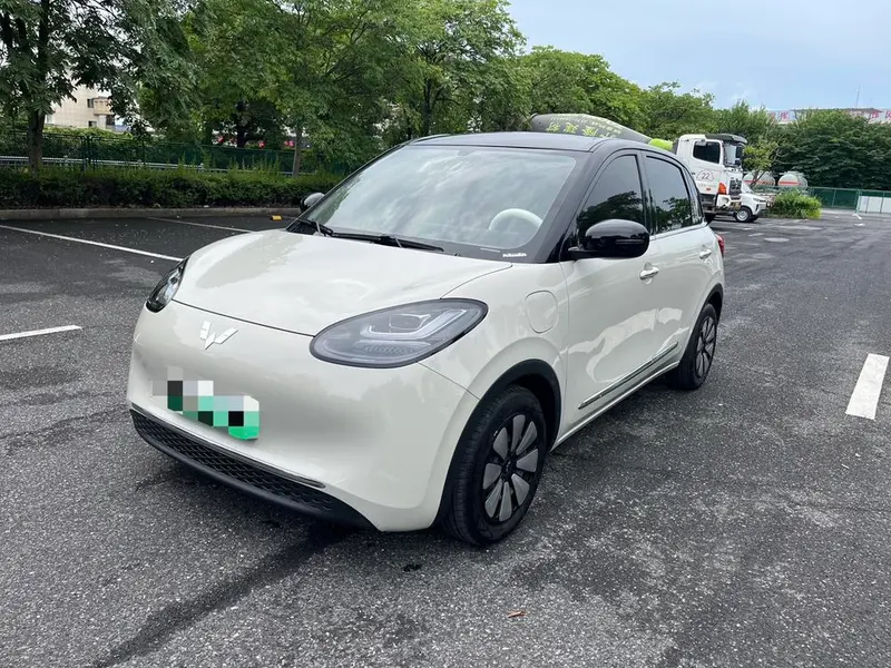Wuling Bingo, 2024