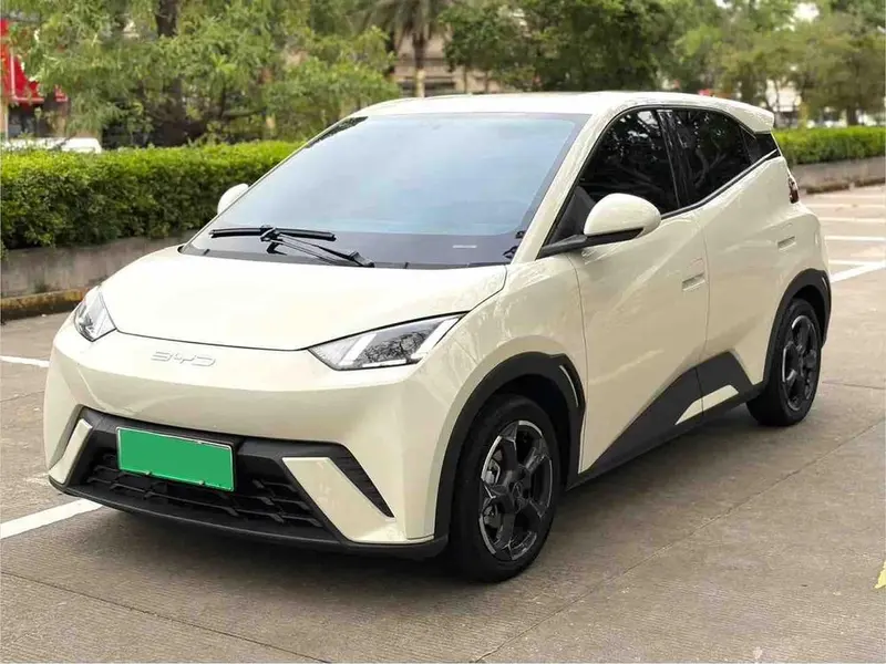 BYD Seagull, 2023