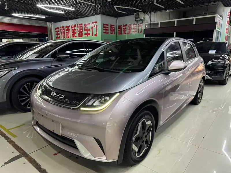 BYD Dolphin Fashion Edition, 2021 — фото 1