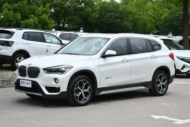 BMW X1 xDrive25Li Luxury Version, 2016 — фото 1
