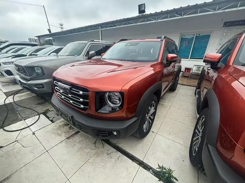 Haval Big Dog, 2021
