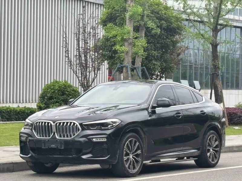 BMW X6, 2021