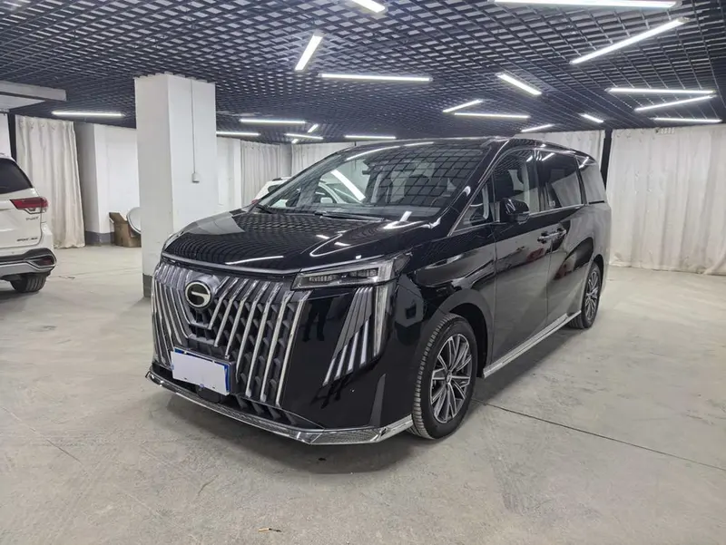 GAC Trumpchi Trumpchi M8 Series 2.0TGDI Premium Edition, 2024 — фото 1
