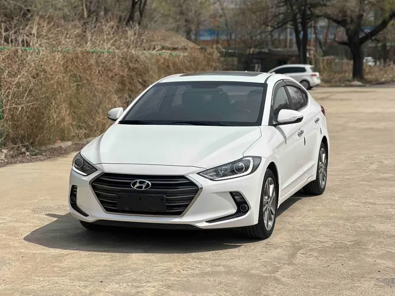 Hyundai Elantra Lingdong 1.6L Auto 15 Special Edition, 2018 — фото 1