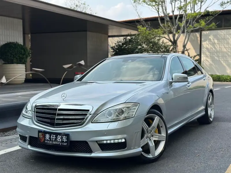 Mercedes-Benz S-Class S 300 L Luxury Version, 2010 — фото 1