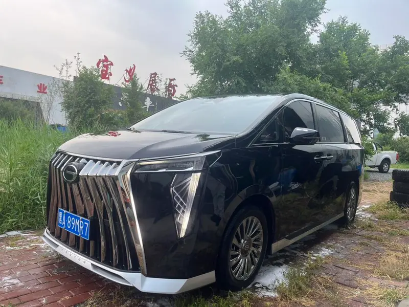 GAC Trumpchi Trumpchi M8, 2024