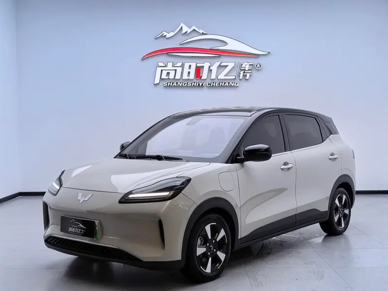 Wuling Bingo PLUS, 2024