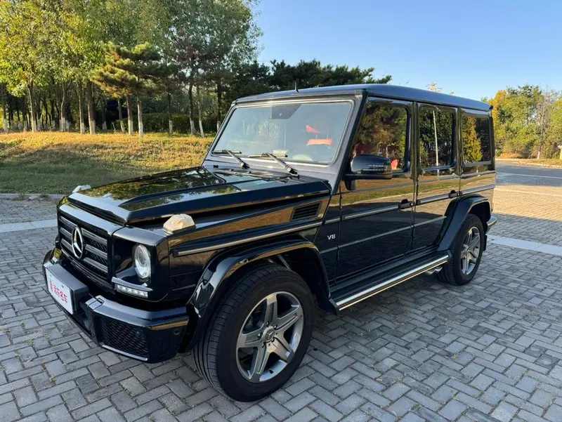 Mercedes-Benz G-Class G 500, 2016 — фото 1