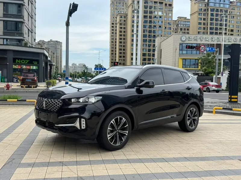 Wey VV6, 2021