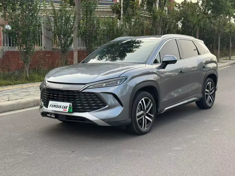 BYD Song L DM, 2024