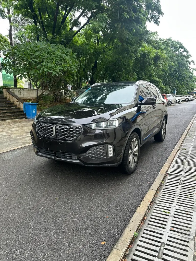 Wey VV6, 2020