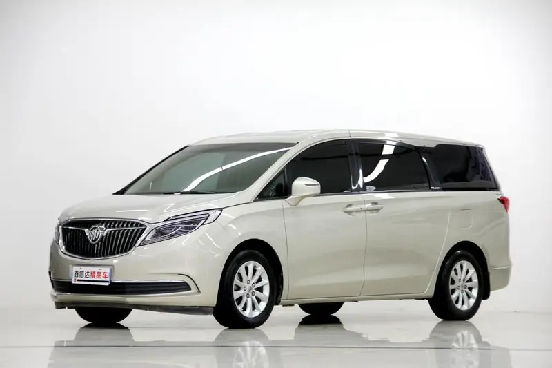 Buick GL8 ES 28T Prestige Version CN5, 2017 — фото 1