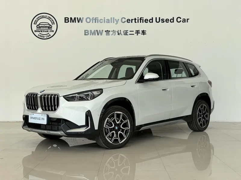 BMW X1 sDrive25Li X, 2025 — фото 1