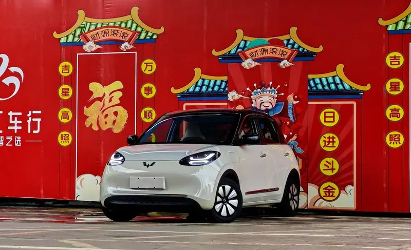 Wuling Bingo, 2024