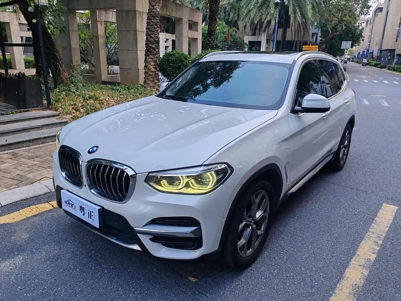 BMW X3 xDrive28i Luxury, 2019 — фото 1