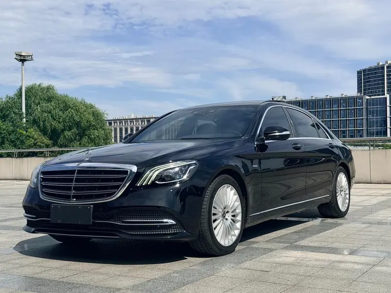 Mercedes-Benz S-Class S 350 L Business Version Refined Edition, 2020 — фото 1