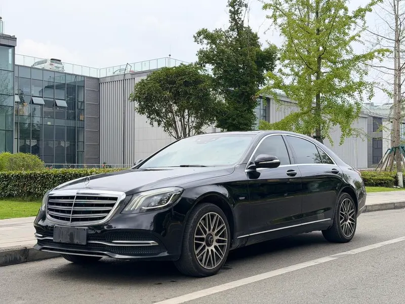 Mercedes-Benz S-Class S 350 L Business Version Refined Edition, 2020 — фото 1
