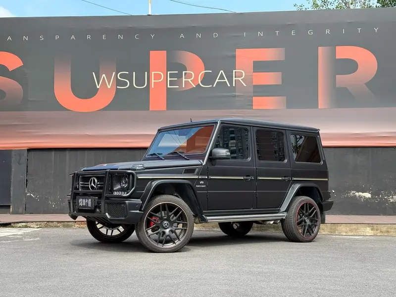 Mercedes-Benz G-Class G 55 AMG, 2009 — фото 1