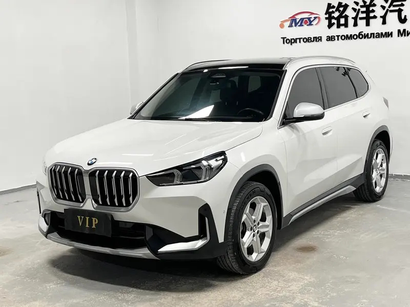 BMW X1 sDrive20Li X, 2023 — фото 1
