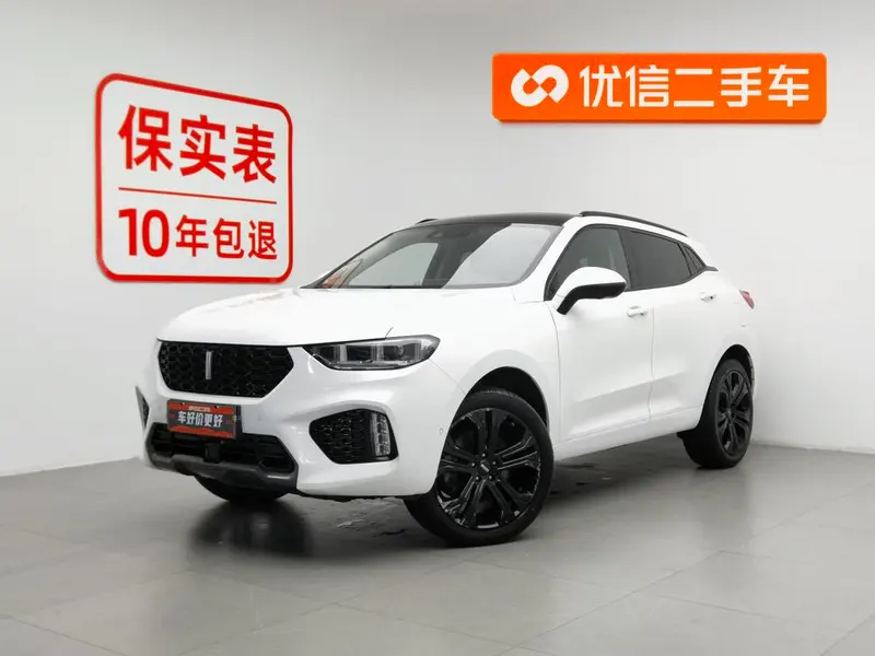 Wey VV5, 2019