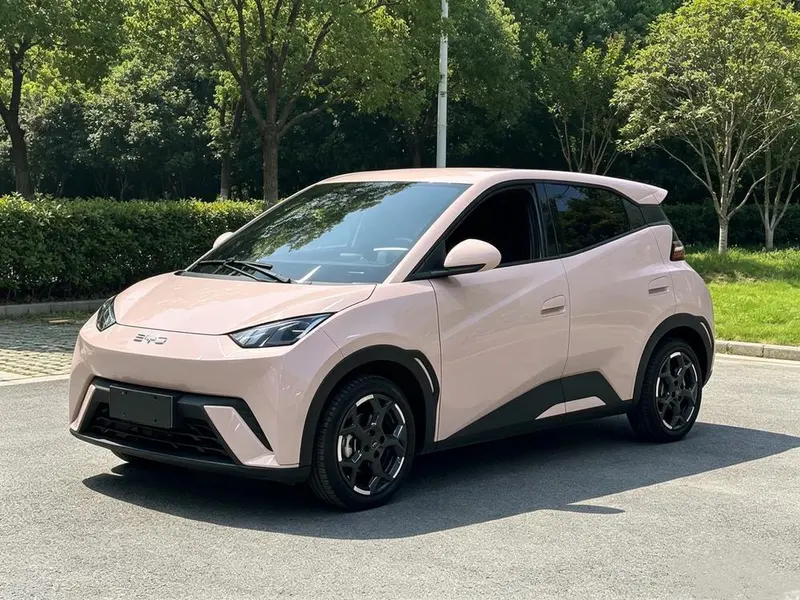 BYD Seagull, 2025