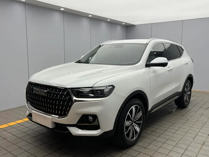 Haval H6 Trendy Edition 1.5T Auto Champion Edition, 2023 — фото 1
