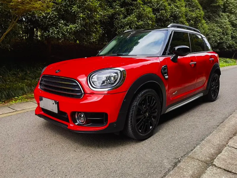 MINI COUNTRYMAN 1.5T COOPER ALL4 Artist Wagon Edition, 2019 — фото 1