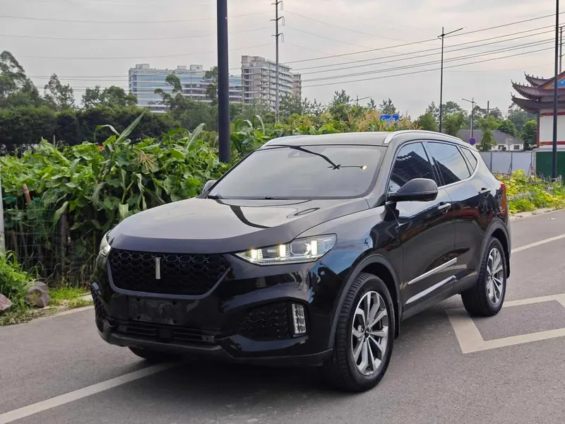Wey VV6, 2019