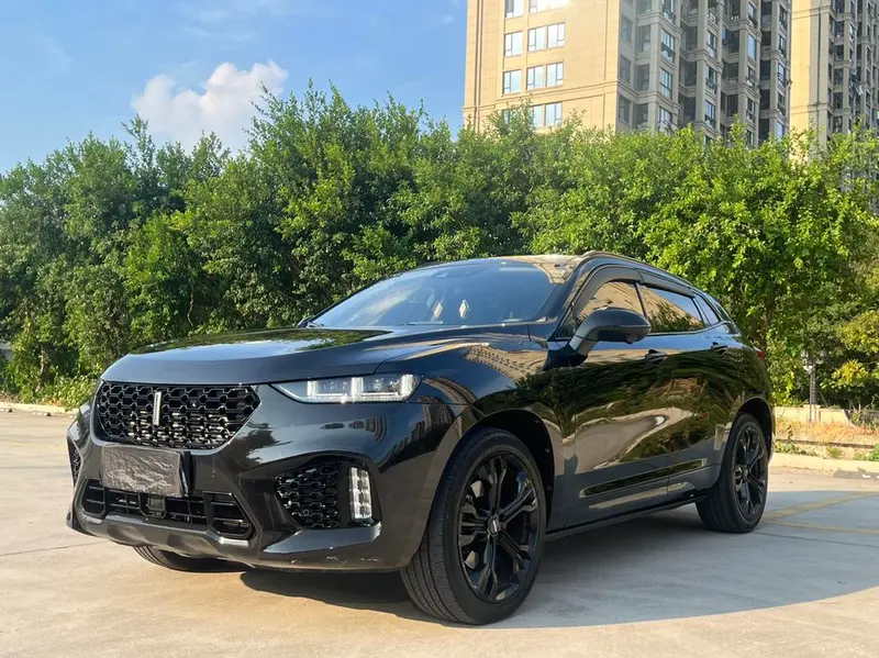 Wey VV7, 2019