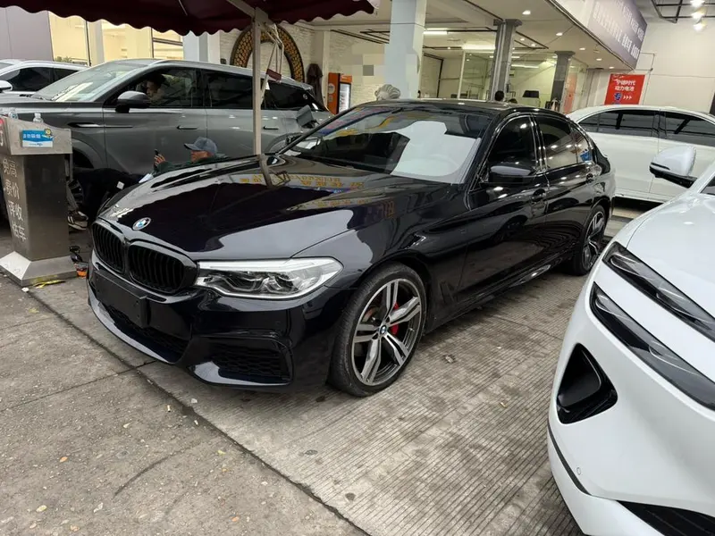 BMW 5-Series 530Li Leading Version M Sport, 2020 — фото 1