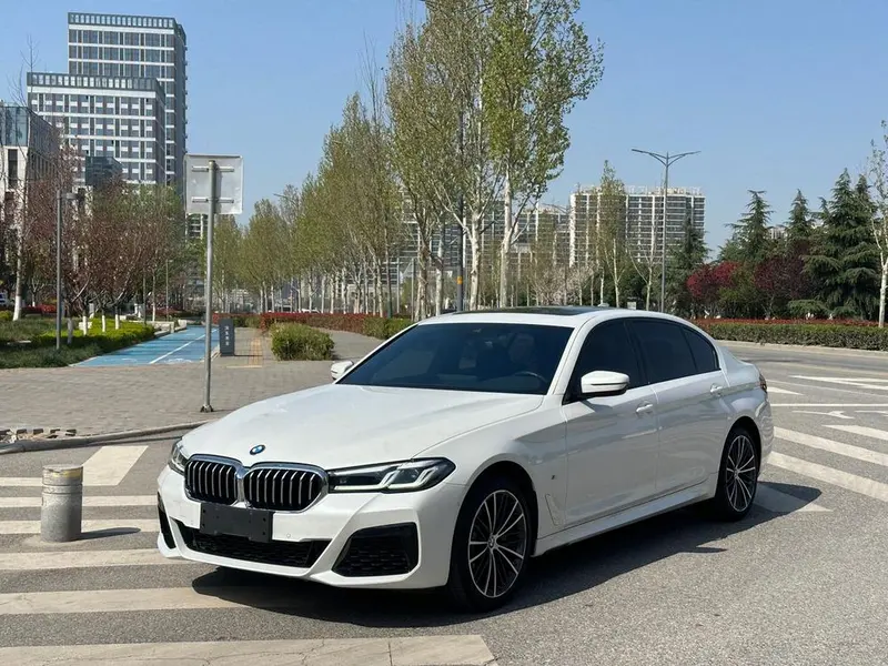 BMW 5-Series Facelift 530Li Leading Version M Sport, 2023 — фото 1