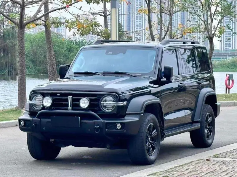 Tank 300, 2021