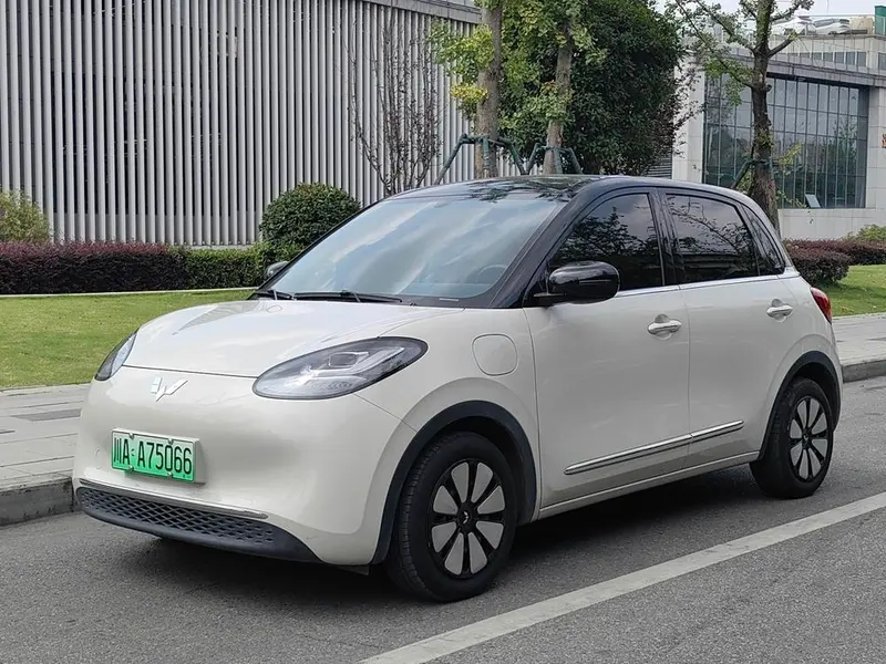 Wuling Bingo, 2024