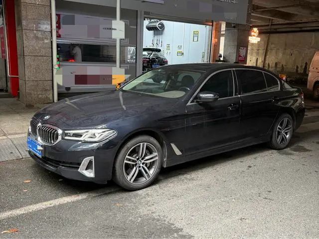 BMW 5-Series 530Li Leading Version Luxury, 2021 — фото 1