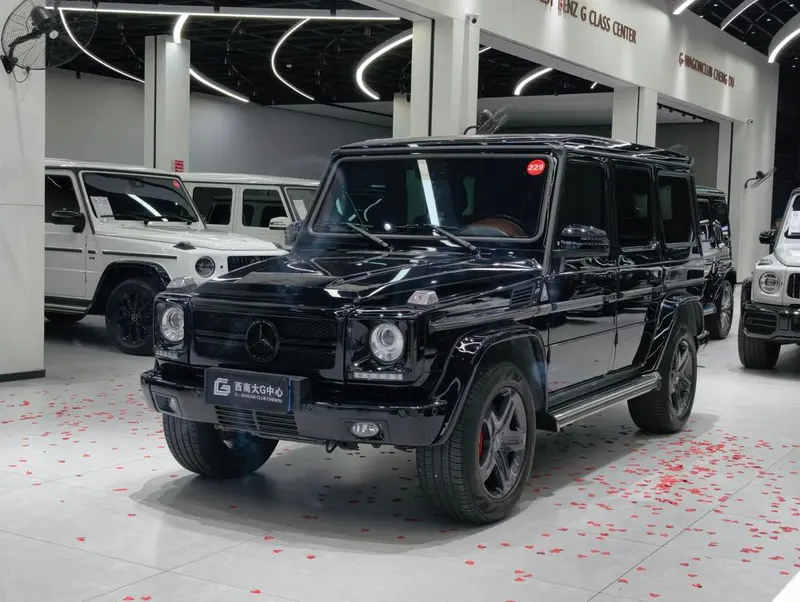 Mercedes-Benz G-Class G 55 AMG, 2009 — фото 1