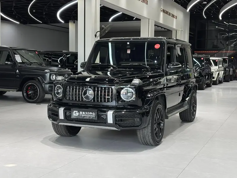 Mercedes-Benz G-Class G 500, 2019 — фото 1