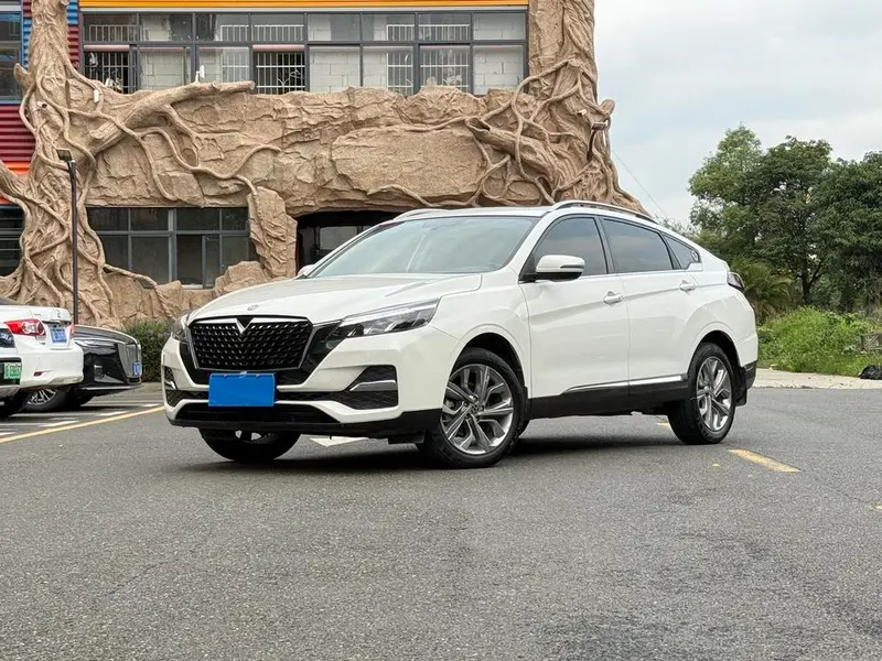 Venucia T90, 2021