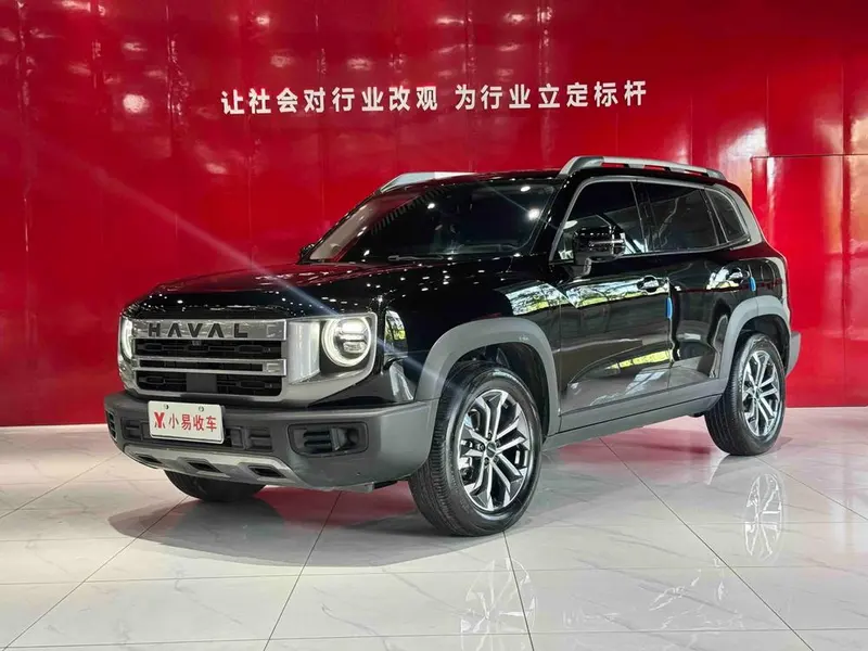 Haval Big Dog 1.5T 2WD Edition, 2024 — фото 1