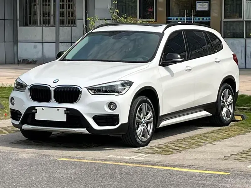 BMW X1 xDrive20Li Prestige Version, 2019 — фото 1