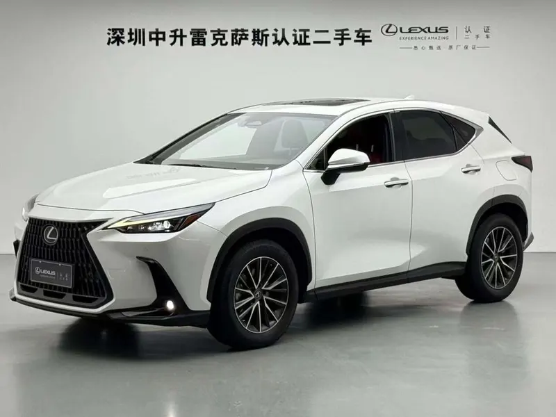Lexus NX PHEV 400h+ Smooth Joy Edition, 2022 — фото 1