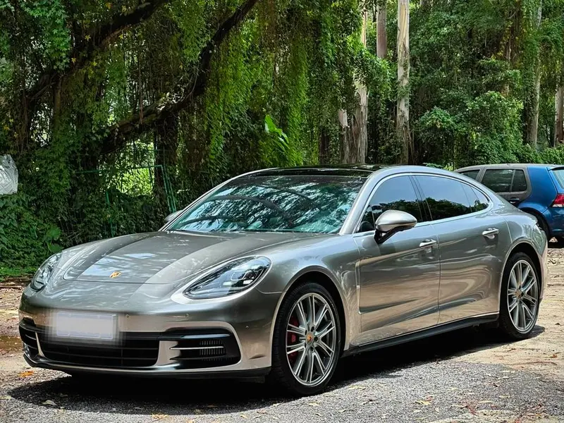 Porsche Panamera Panamera Extended Edition 2.9T, 2021 — фото 1