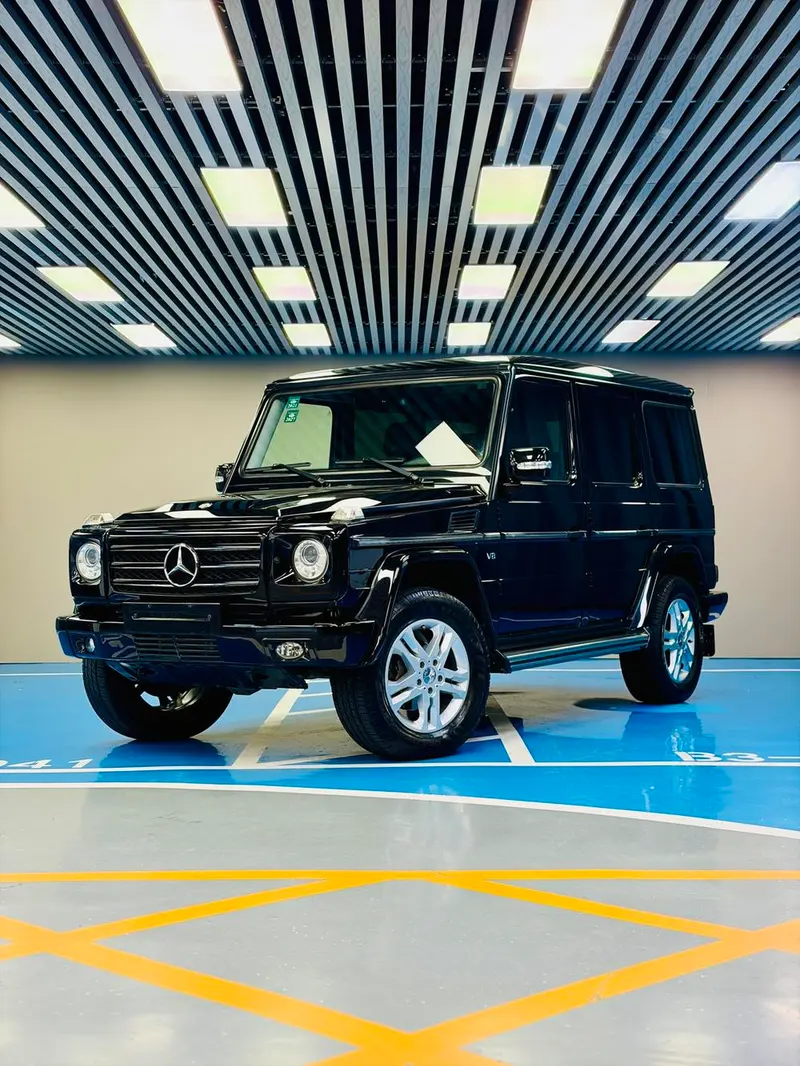 Mercedes-Benz G-Class G 500, 2010 — фото 1
