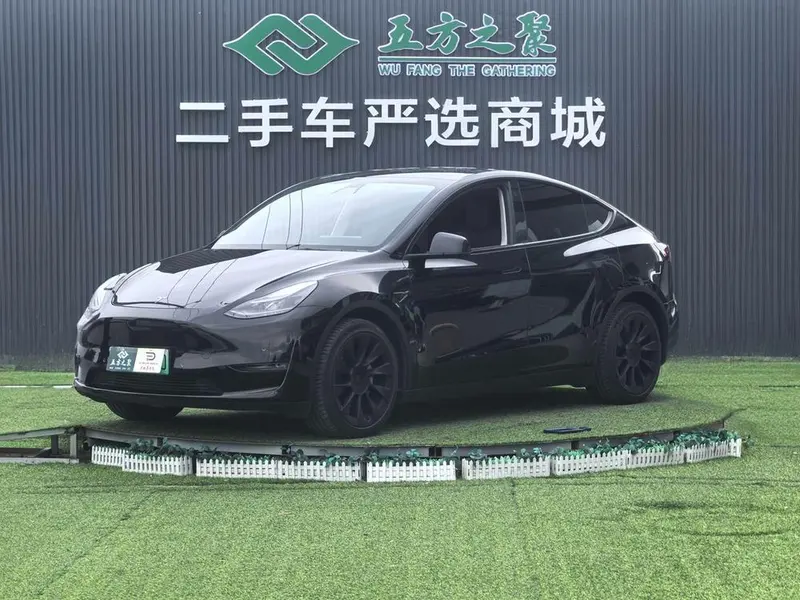 Tesla Model Y Standard Range Edition, 2021 — фото 1