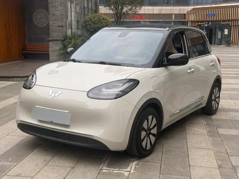 Wuling Bingo, 2023