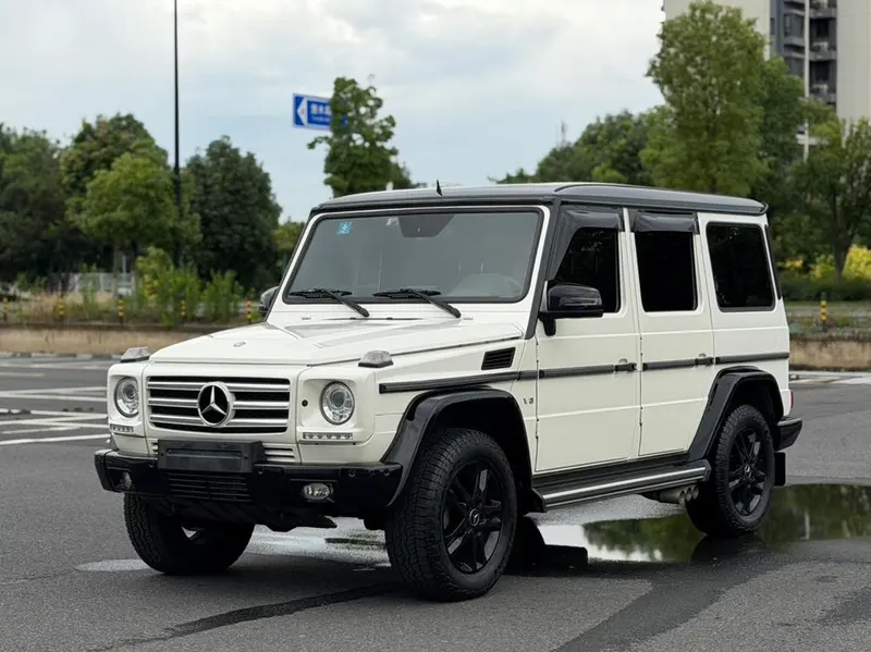 Mercedes-Benz G-Class G 500 Edition, 2015 — фото 1