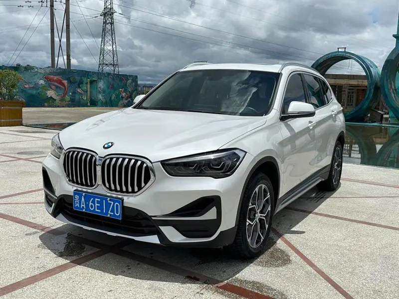 BMW X1 sDrive20Li Prestige Version, 2020 — фото 1