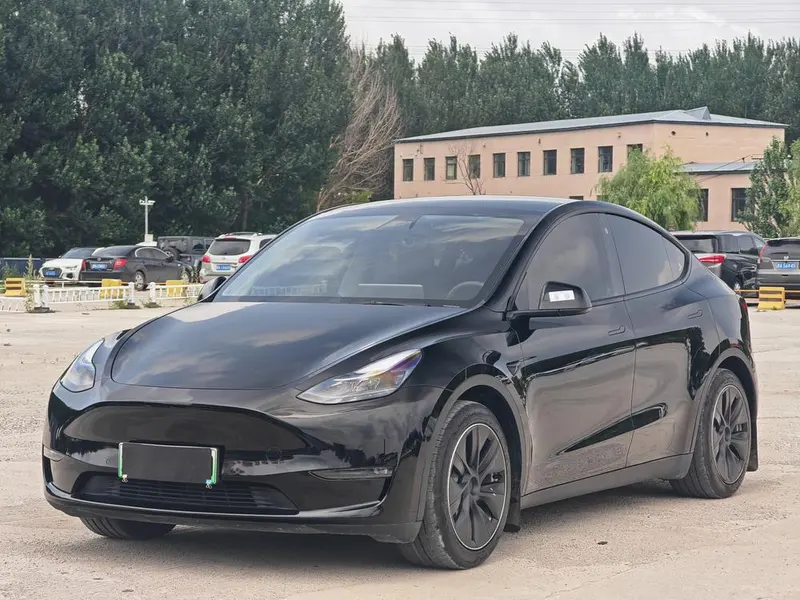 Tesla Model Y Standard Range Edition, 2021 — фото 1