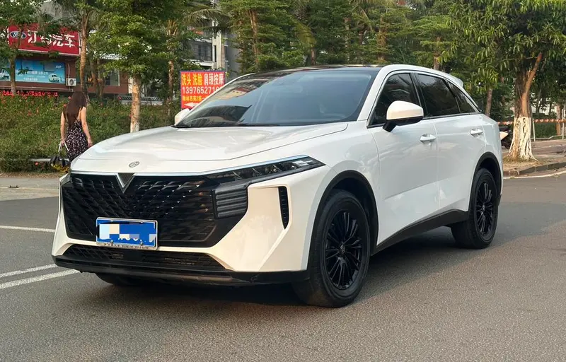 Venucia Big V, 2022